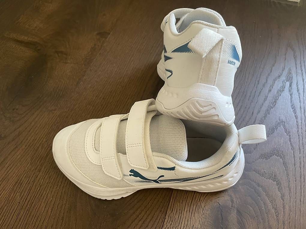 Puma Schuhe für Jungen: Hallenschuhe Puma in Gr. 34 – Gebraucht aus Muri b. Bern von dindlerothler 3