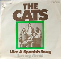 Vinyl Single Cats - Like A Spanish Song