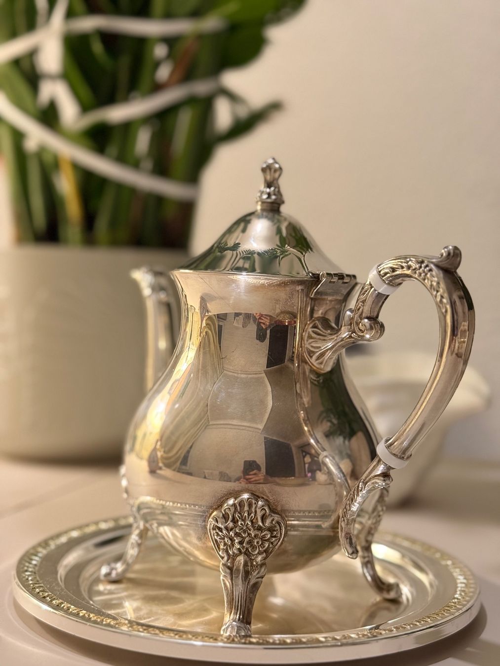 Teiere: silver plated coffee pot – Usato da Clarens venduto da vat_2x6j 1