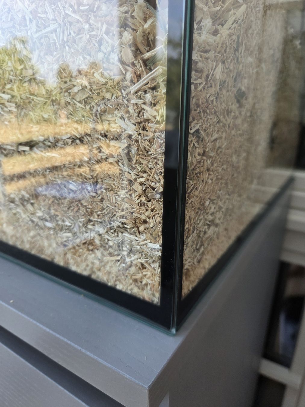 Ferplast Gabbie, trasporto & Sicurezza: Kleintierkäfig / Terrarium – Usato da Uetendorf venduto da mml_9xjd 1