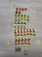 FIFA world cup 2026 Paninis 57 Stücke