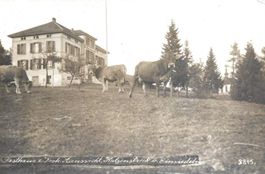 Katzenstrick SZ Gasthaus Frohen Aussicht b. Einsiedeln 1930