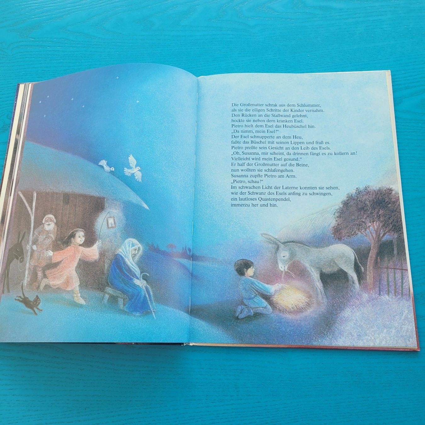 Libri: Eine Krippe im Wald - Weihnachten Kirche – Nuovo (secondo la descrizione) da SCHÜBELBACH venduto da CoKaHa 6