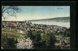 AK Wädenswil, Gesamtansicht, 1911