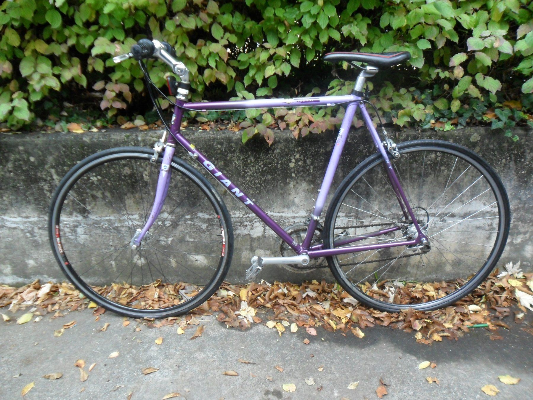 Giant Velos: Giant Kronos – Gebraucht aus Aesch BL von isc_85jd