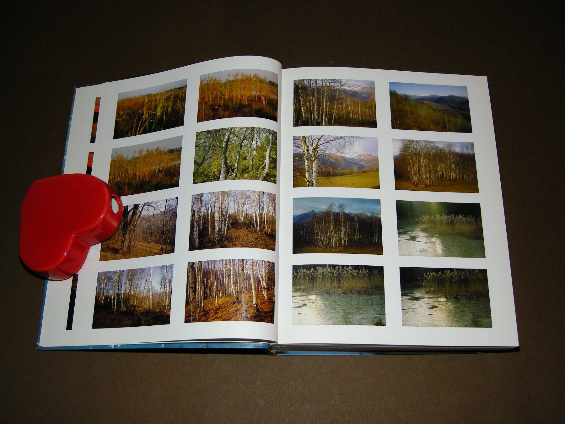 Libri: Sichtbare Welt / Peter Fischli, David Weiss – Usato da Aarau venduto da Pearlz 4