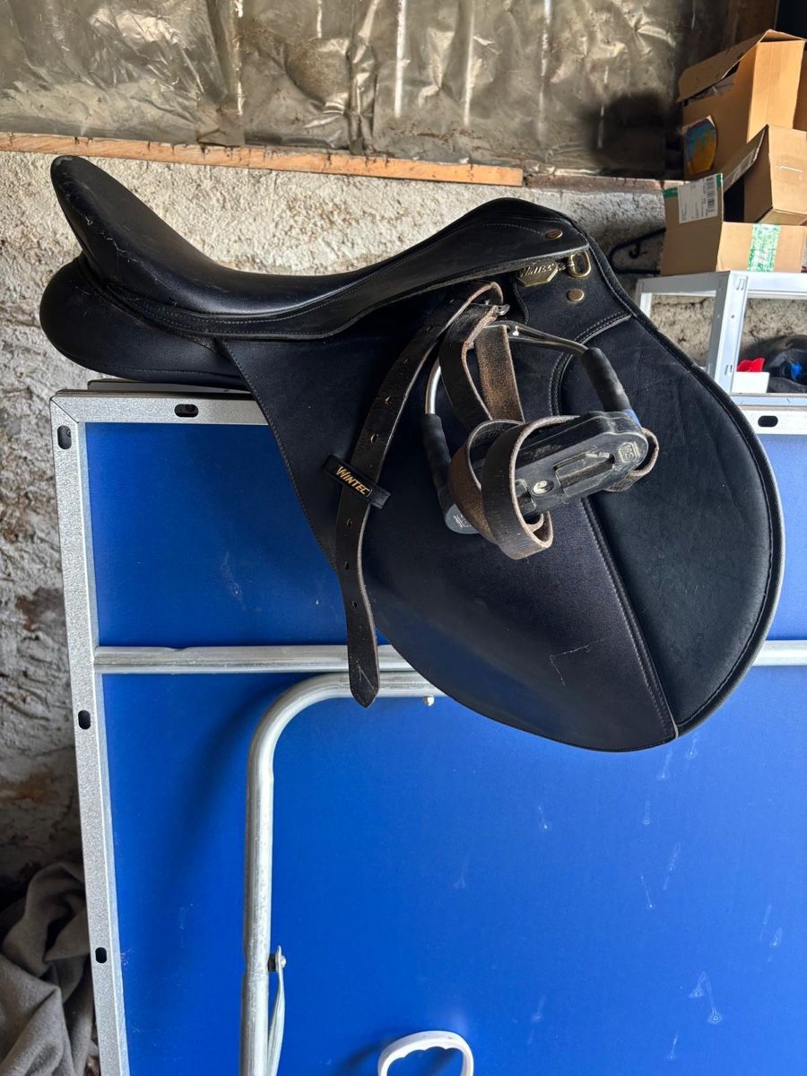 Altro in Accessori per animali: Set di Cavallo – Usato da Airolo venduto da dyl_jn5j 3