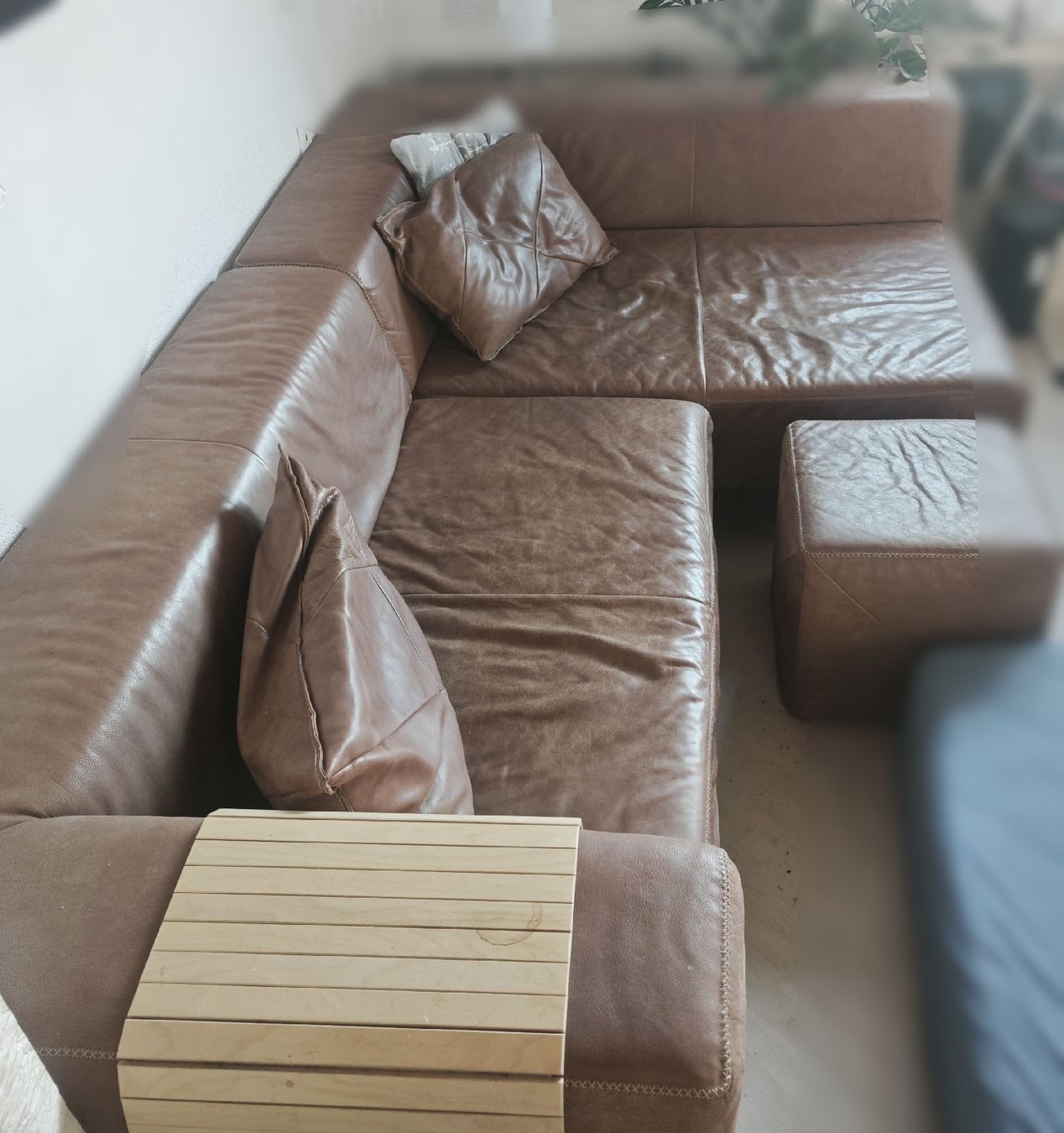 Sofas: Bullfrog CAMP Ledersofa – D'occasion à Winterthur par mtr_studio 1