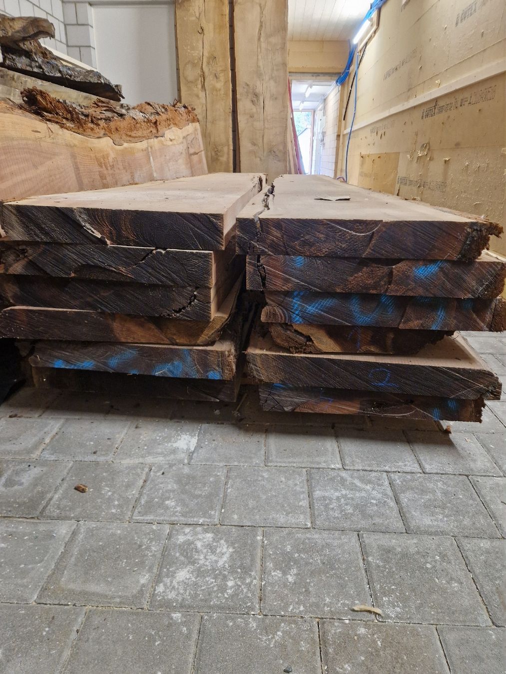 Articoli in legno: Klotzbretter CH Mammutbaum – Nuovo (secondo la descrizione) da Thun venduto da Thierry_Pfau 2