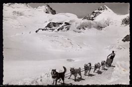Jungfraujoch 3457m.   mit Polarhunde  1946