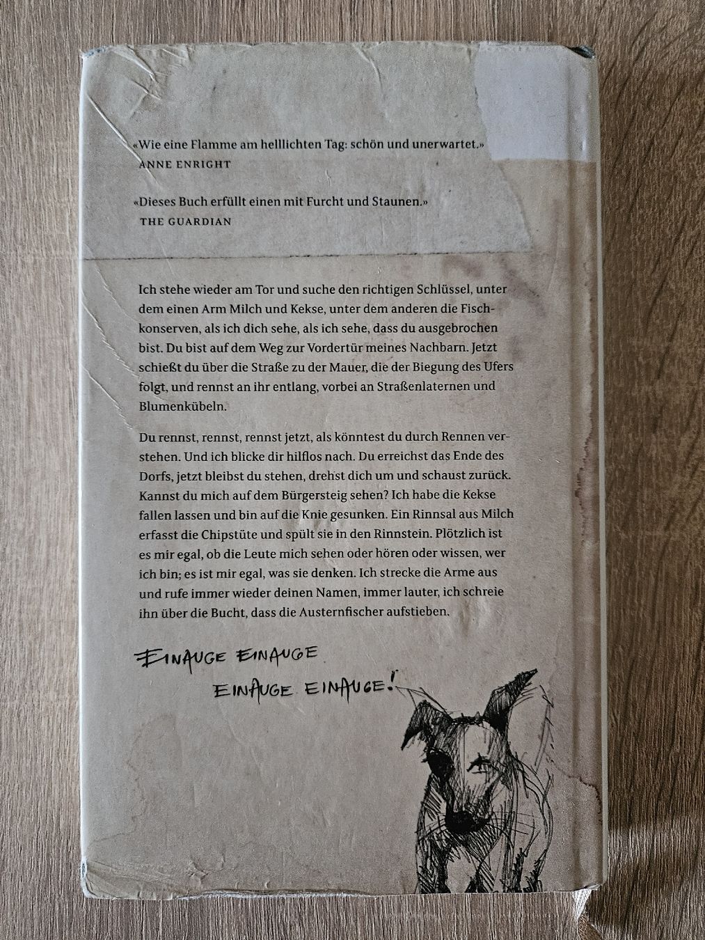 Libri: Sara Baume : Die kleinsten, stillsten Dinge – Usato da Ebikon venduto da SecondChance_byM 1