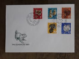 Pro Juventute FDC Brief 1965