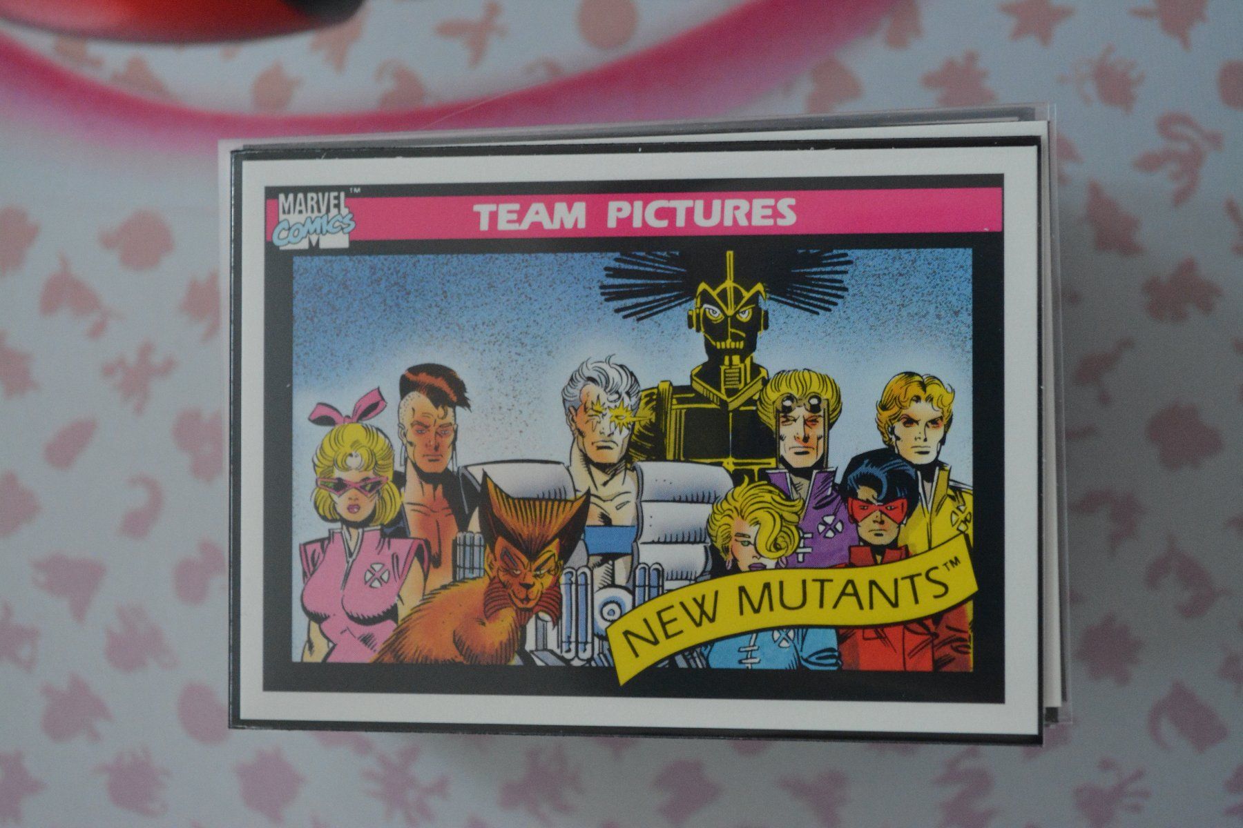 Marvel Carte collezionabili: Marvel Universe 1990 Trading Cards - New Mutants – Usato da Altstätten SG venduto da GGsGameshop