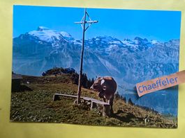 1992 Engelberg, Motiv mit Brunnihütte SAC und Titlis