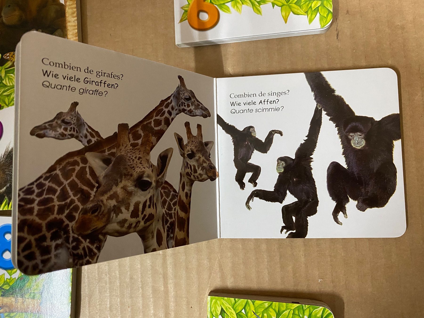 Bücher: Zoo Bücher (vergleiche) – Gebraucht aus Eschlikon TG von ArtRec 8