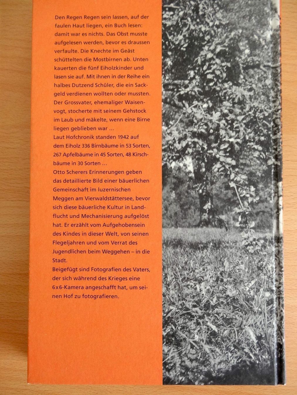 Libri: Einholz – Nuovo (secondo la descrizione) da Scherz venduto da Atopolino 1