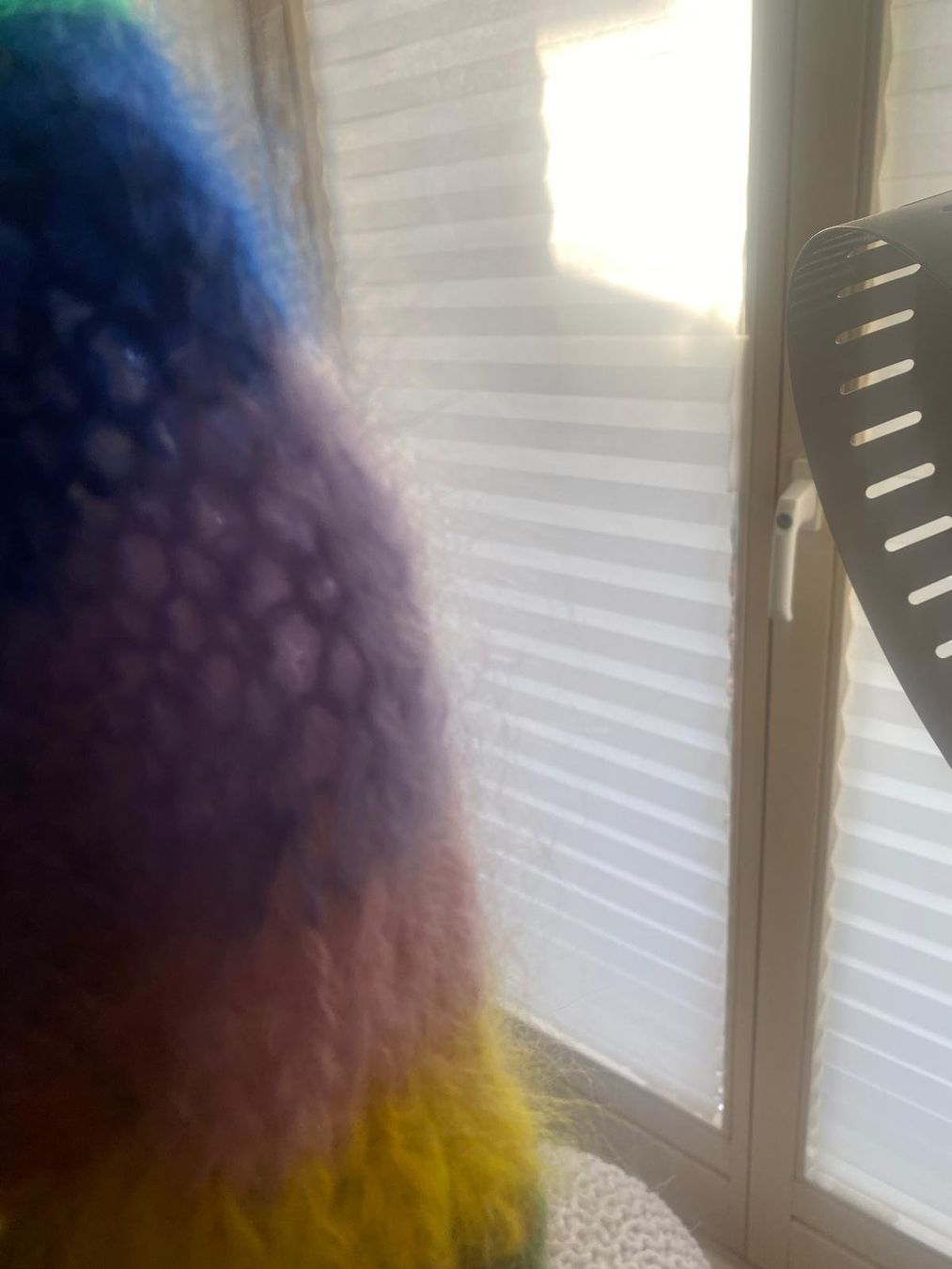 Maglioni & Felpe: Rainbow long Mohair Pulli V-Ausschnitt vorn oder hinten neu – Nuovo e nell'imballaggio originale da Lilienthal venduto da marie-bubble 1