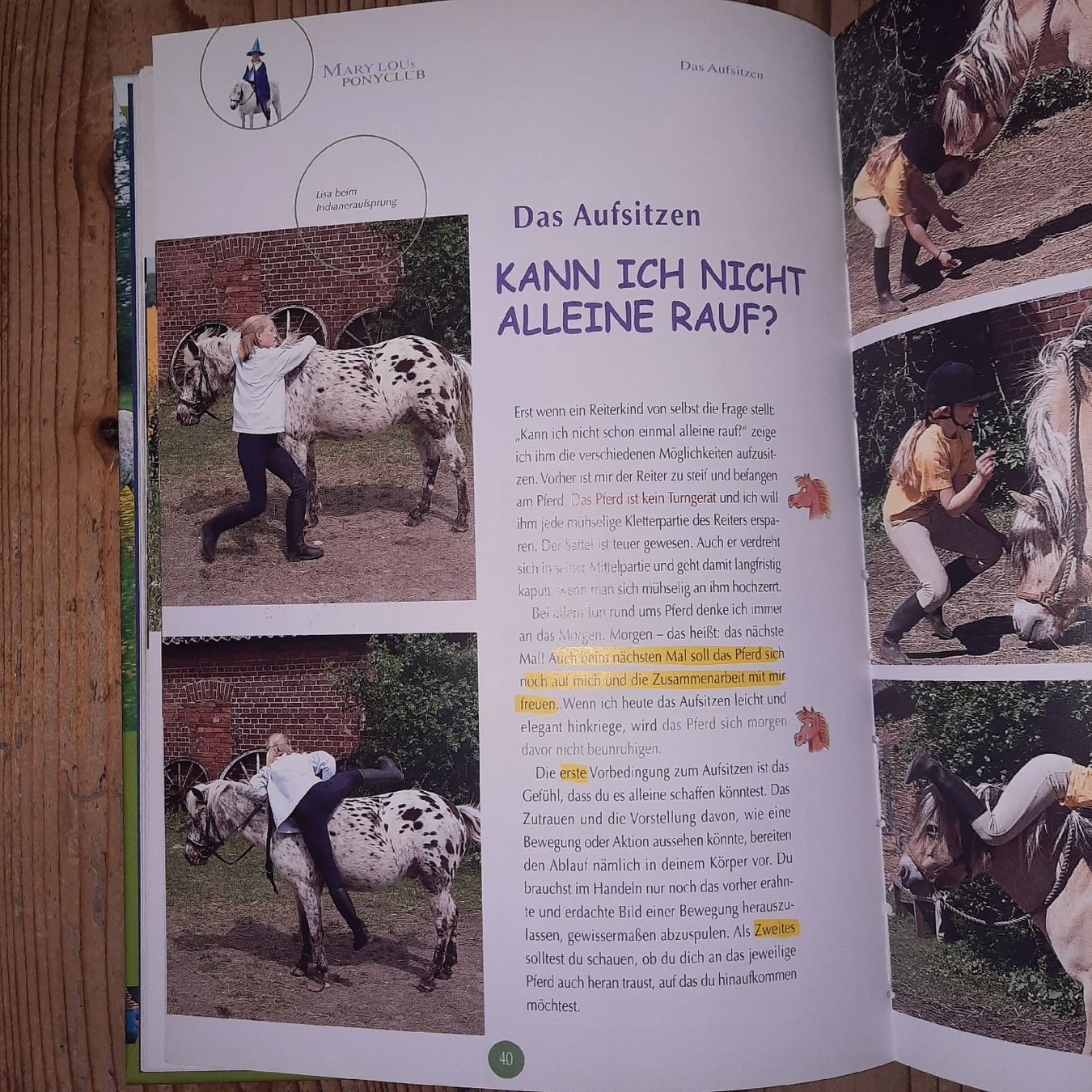 Bücher: Mary Lous Ponyclub – Neu (gemäss Beschreibung) aus Riedikon von cor_7jcd 6