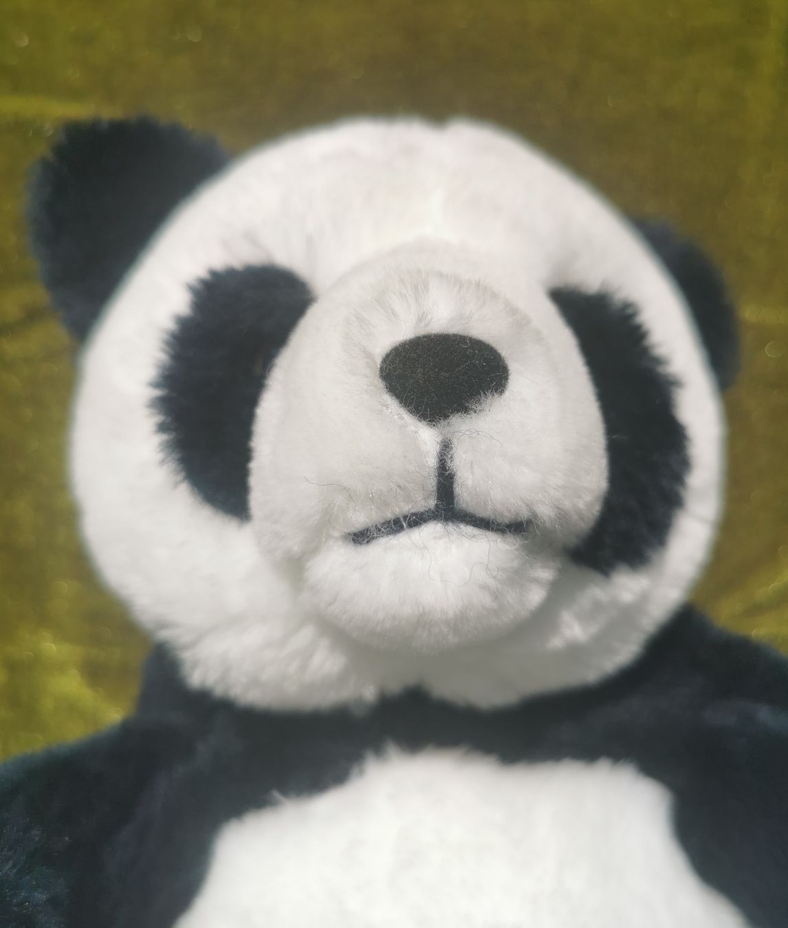 Spielzeuge: Panda mit Knopfaugen – Gebraucht aus Wettingen von Biitel 4