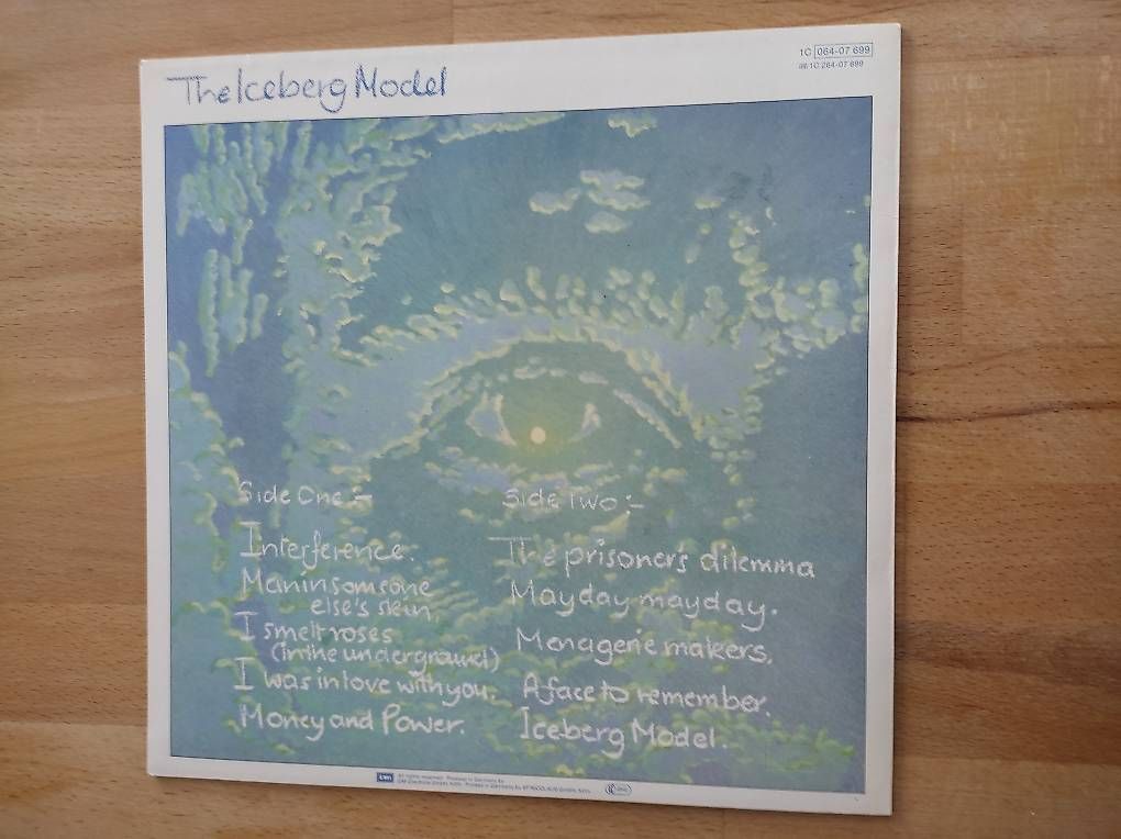 Dischi in vinile: LP Vinyl, JOHN WATTS, The iceberg model – Usato da Zielebach venduto da Teneristi 1