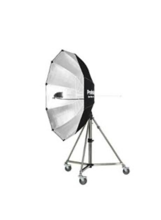 Profoto Giant Reflector Schirm Kaufen Auf Ricardo