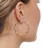 Aparte Creolen Silber vergoldet (Roségold)