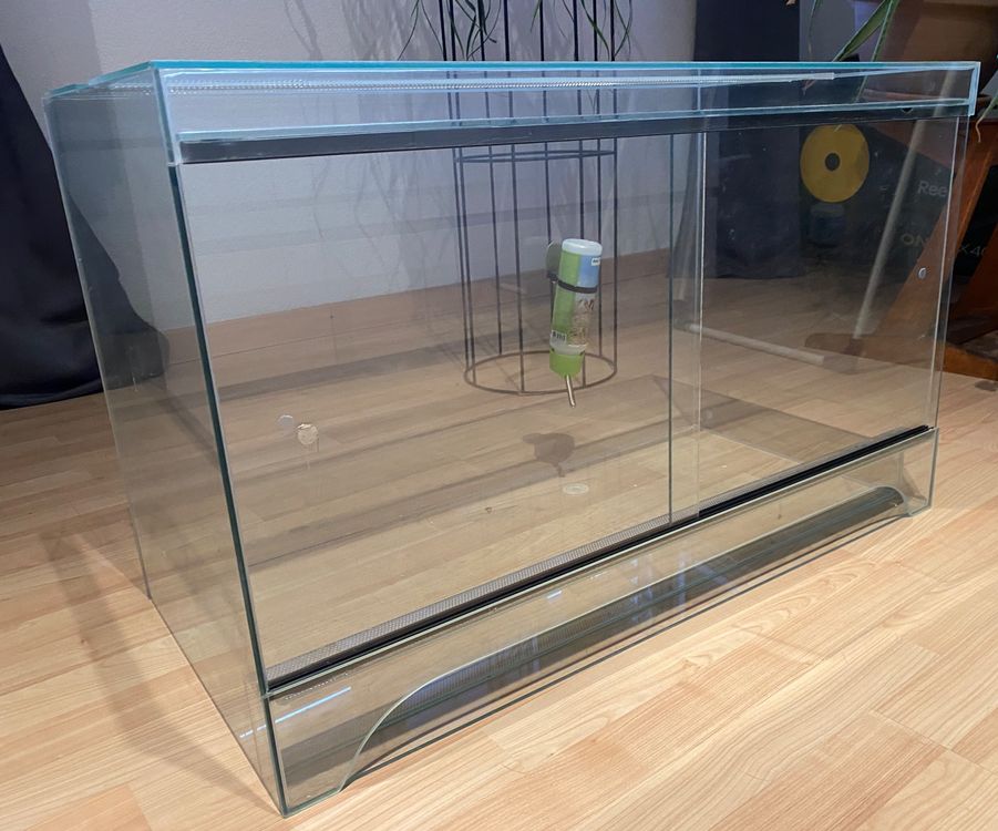 Terrarium Glas Kaufen auf Ricardo