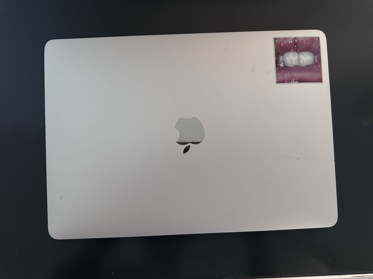 Apple Notebook: MacBook Air Retina 2018 – Usato da Zürich venduto da liv_e