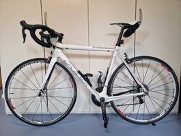 Rennvelo Felt F3 - Occasion - mittelgross für Damen/Herren