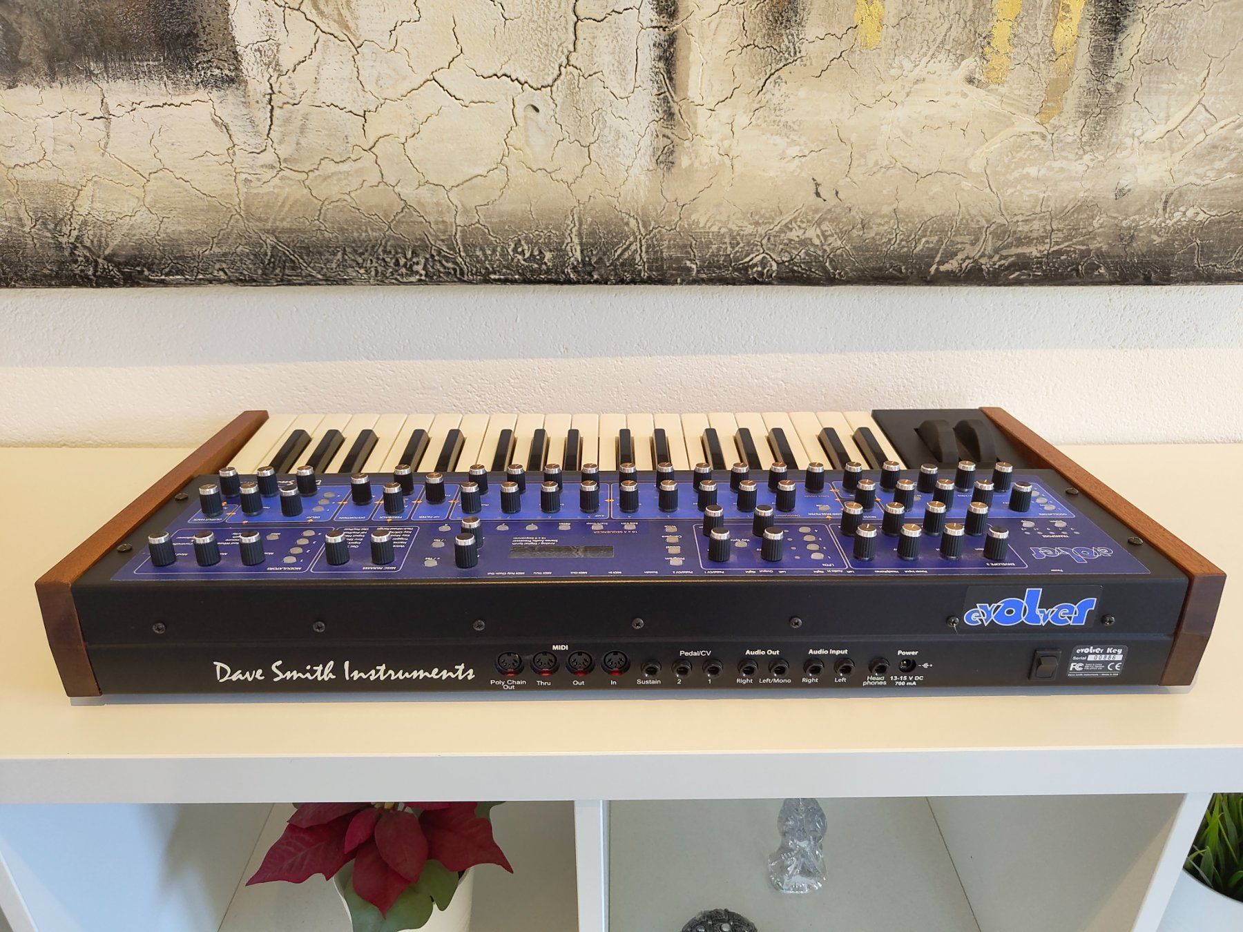 Strumenti musicali: Dave Smith evolver – Usato da Birrhard venduto da Dave-C 1