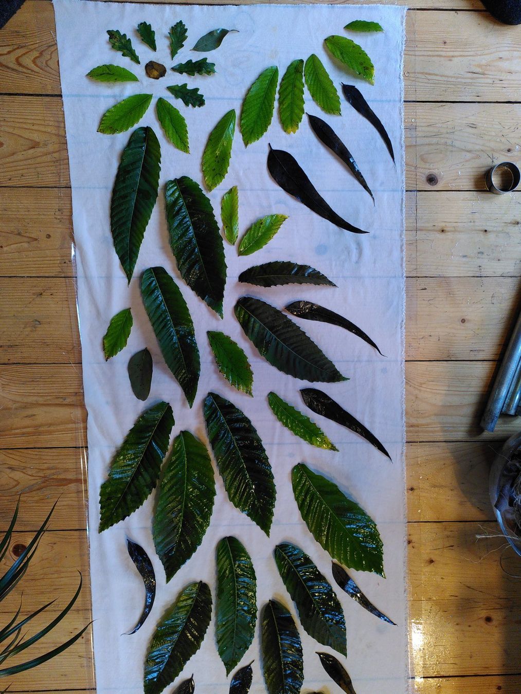 Foulard & Sciarpe: Foulard in seta tecnica ecoprint – Nuovo (secondo la descrizione) da Comano venduto da Maura 5