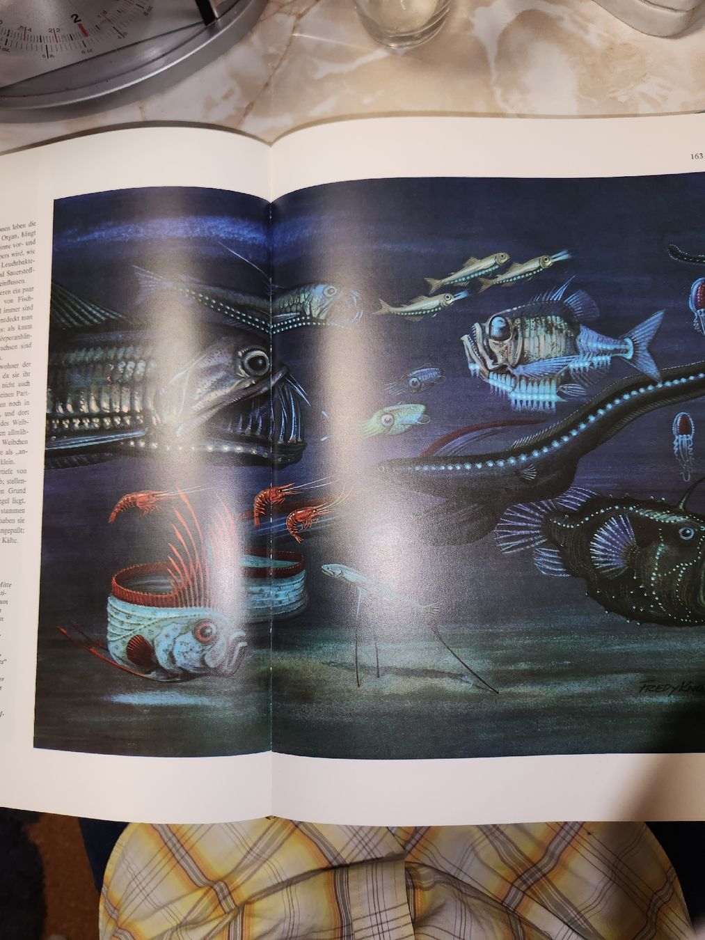 Libri: Das Grosse Reader's Digest Buch Der Ozeane 🌊 – Usato da Herisau venduto da bin_da 6