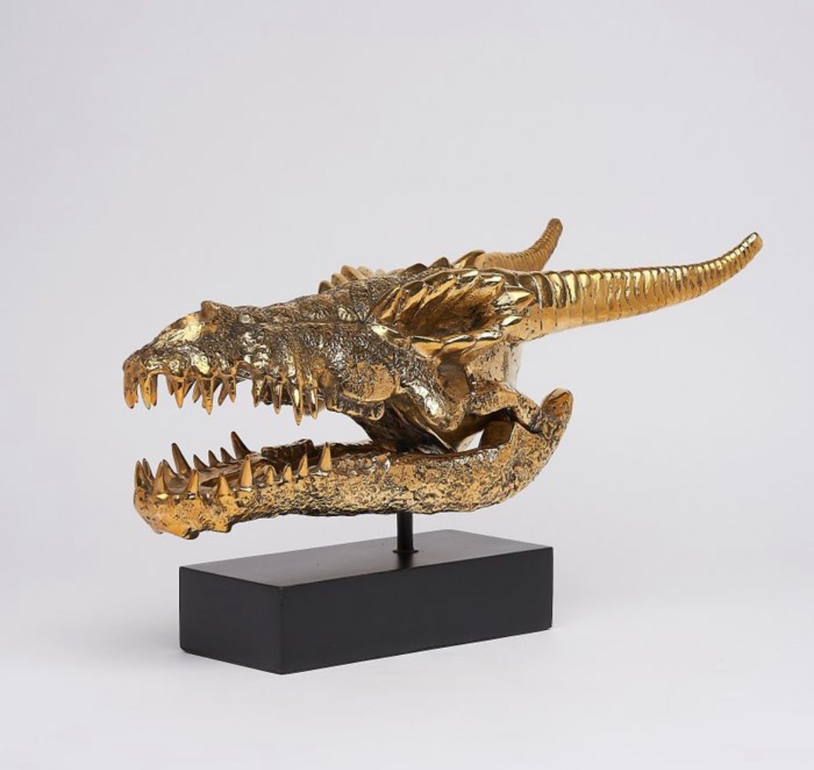 Sculture & Statue: Crâne de dragon en bronze – Nuovo e nell'imballaggio originale da Biel/Bienne venduto da Dragonpandora 1