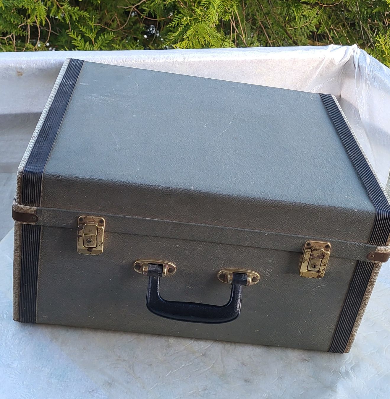 Strumenti musicali: accordéon Hercule suisse – Usato da Penthalaz venduto da EvandroLuz 5