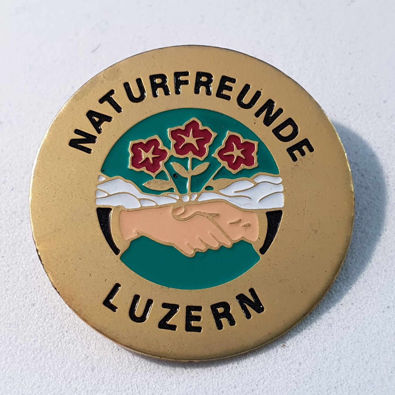 Placchette & Badge: Z602 - Pin Naturfreunde LUZERN – Usato da Reinach BL venduto da Boston-Verkauf