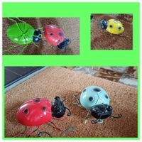 coccinelles* célèbre làmour *Prüfungskäferli tolles Geschenk