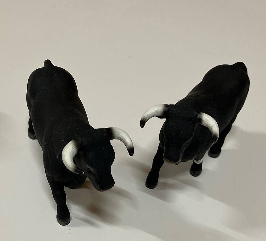 Giocattoli: Tierset Schleich, neu – Usato da Weinfelden venduto da PrinzHardy 2