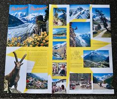 50er /60er Jahre Faltprospekt PONTRESINA sommer 2