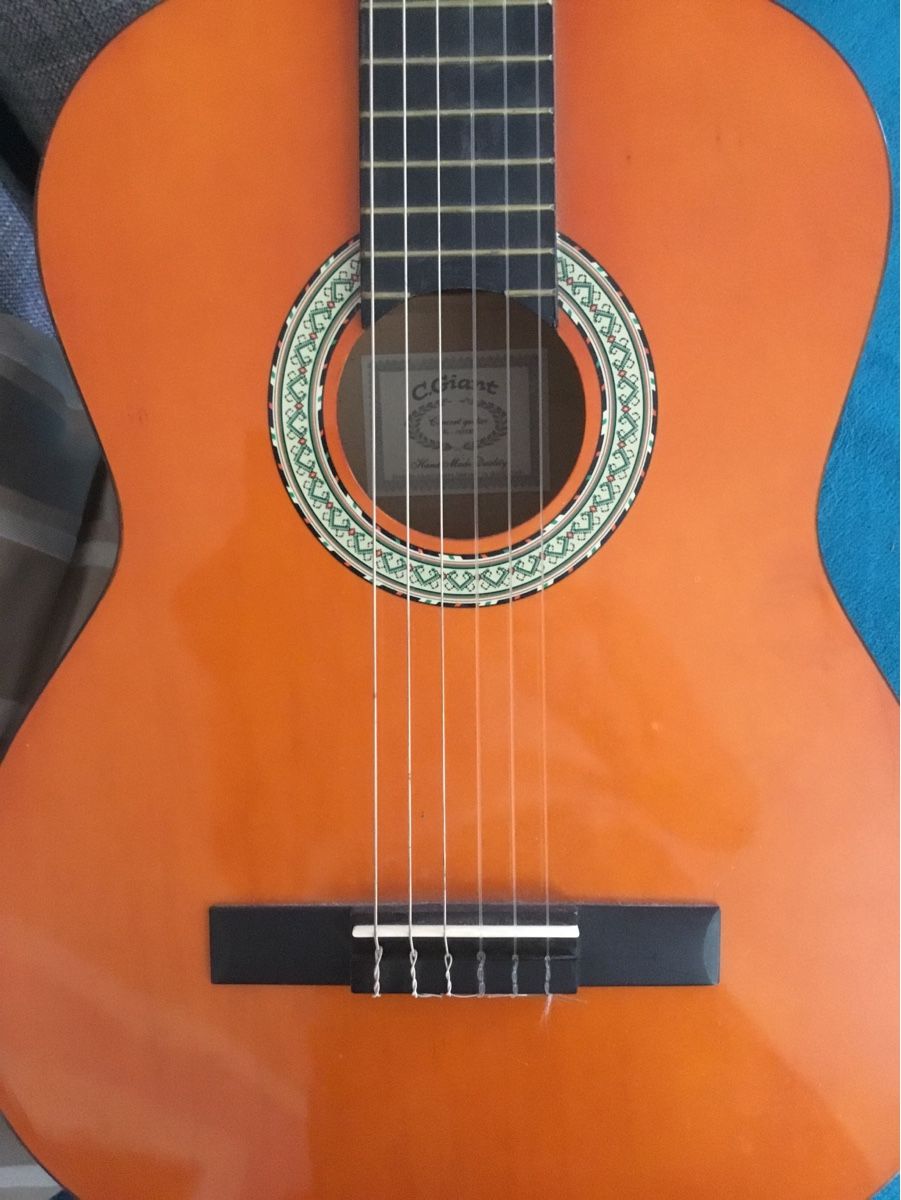 C.Giant Strumenti musicali: Gitarre – Usato da Schlieren venduto da Jeajet 1