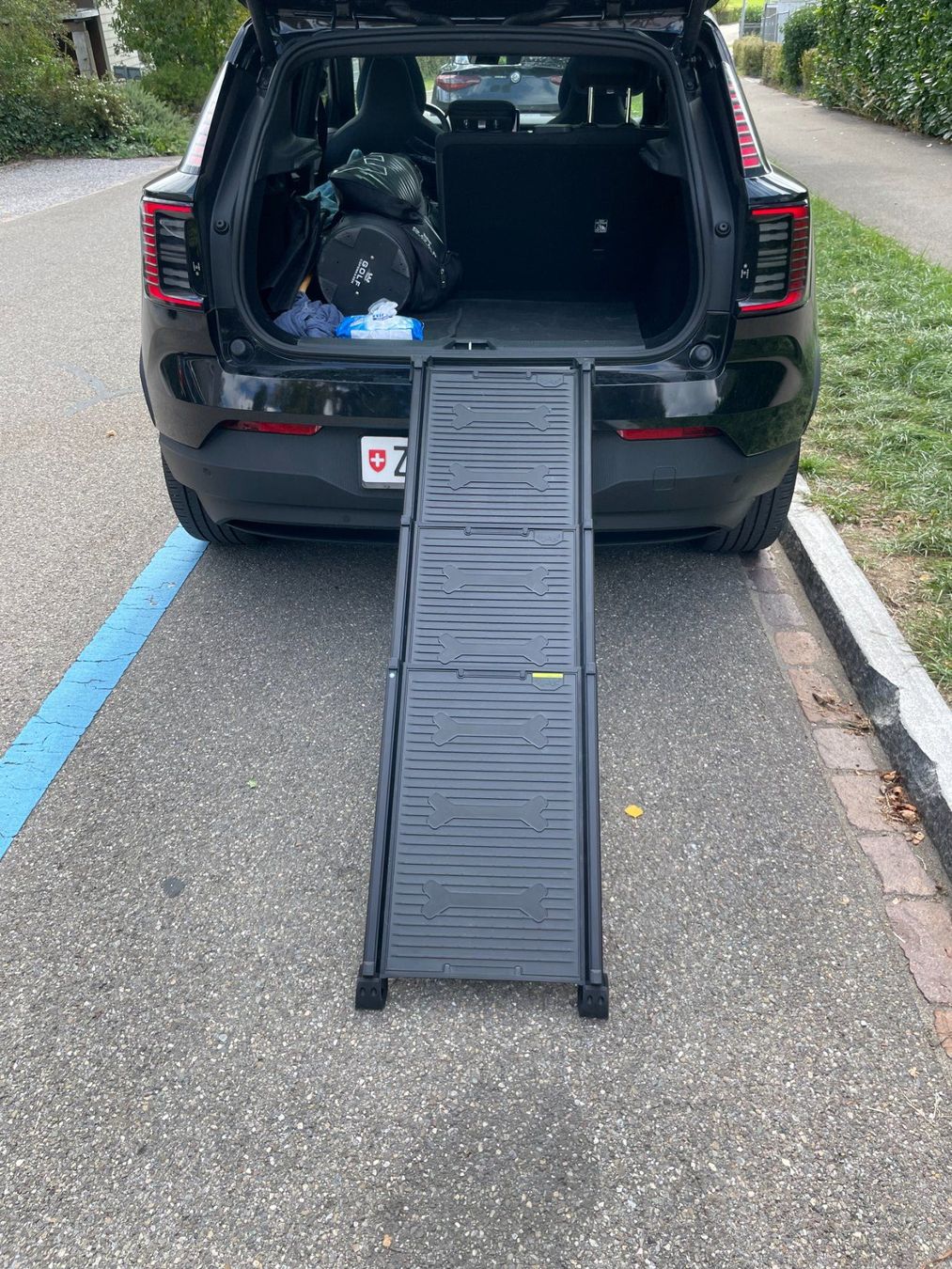 4pets Gabbie, trasporto & Sicurezza: 4pets Rampe ECO EasySteps Schwarz – Usato da Dietlikon venduto da Porlezza