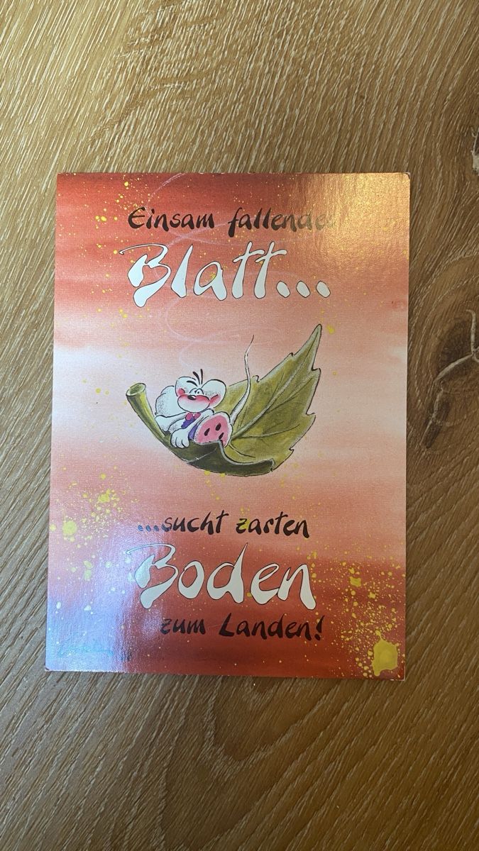 Cartoline: Diddle Postkarte Nr.37 – Nuovo (secondo la descrizione) da Beinwil (Freiamt) venduto da Akgeun