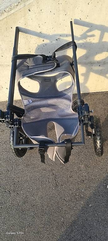 Carriole: Hunde Hilfswagen – Usato da Worb venduto da Werich 2