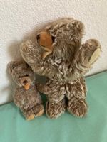 Teddy-Bär – Mutter und Kind