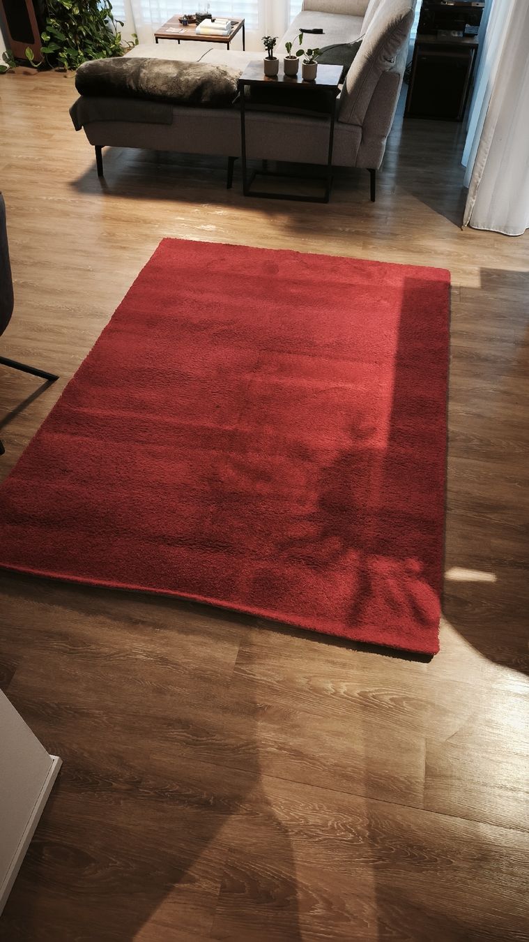 Livique Tappeti: Teppich Delight Cosy Polypropylen Rot Höhe 22mm – Usato da Eschlikon TG venduto da matktm86