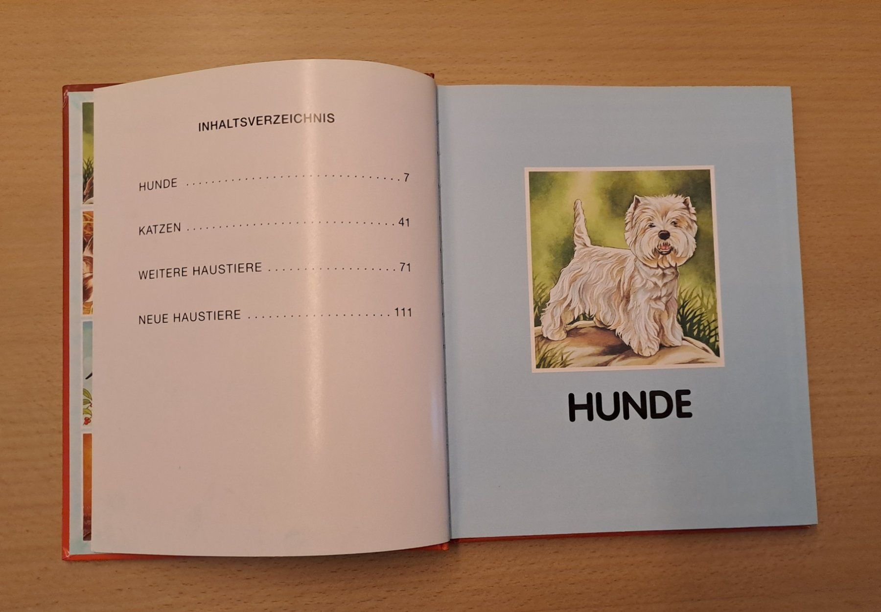 Libri: Haustiere Kinder Buch – Usato da Wädenswil venduto da neonfarbig 3