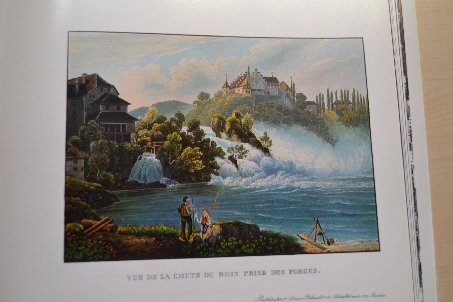 Libri: Neuhausen am Rheinfall – Usato da Beinwil am See venduto da kajak55 9