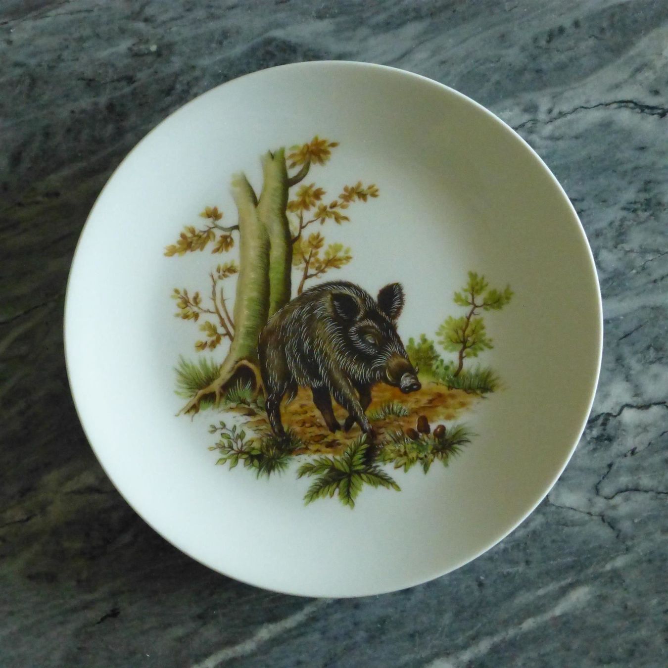 Teller: 3 Sammelteller / Wandteller Wildtiere – Gebraucht aus Basel von Falconis 3