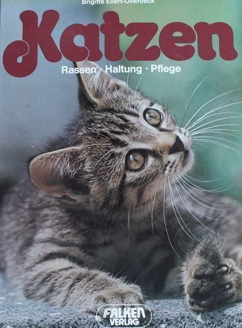 Livres: Katzen – D'occasion à Schlatt TG par annesbuecher