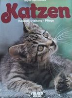 Katzen