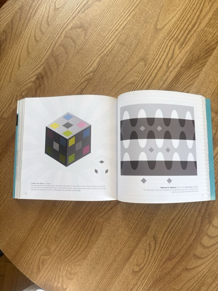 Libri: Buch Illusion Confusion Optical Deception Thames & Hudson – Nuovo (secondo la descrizione) da Zürich venduto da sasast 2